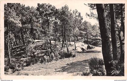 B56013 Saint Brevin Ocean La Foret  france