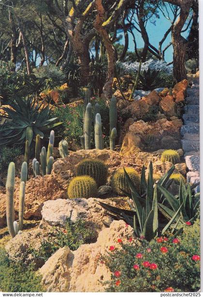 BF14080 jardin exotique a yens a cote d azur france  front/back image