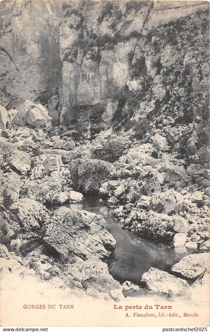 BF6192 gorges du tarn la perte du tarn france     France