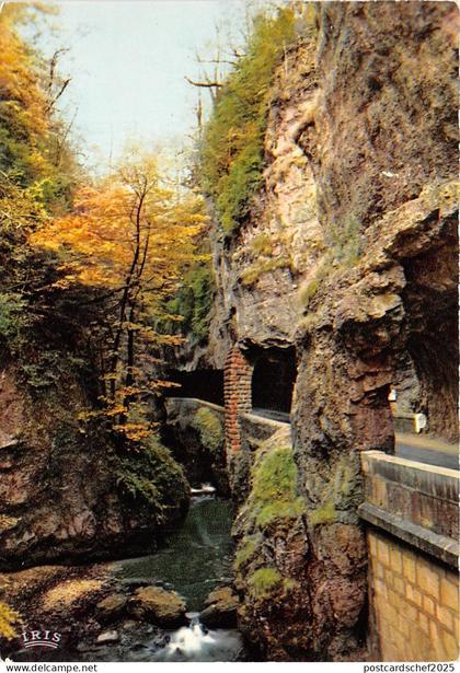 BR14878 Les grands Goulets   france