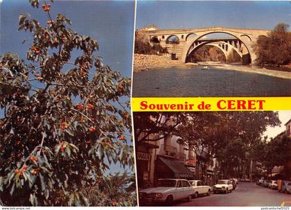 BR15656 Souvenir Ceret    france