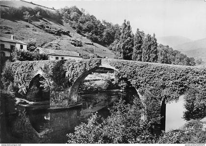 BR17832 Bidarray le Pont Romain  france