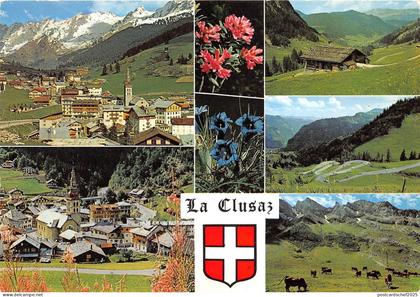 BR22086 La Clusaz vue generale france