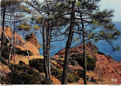 BR2775 Rueil Malmaison le parc du chateau de la malmaison  france