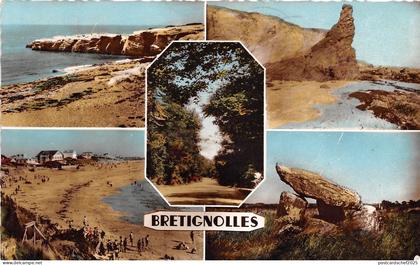 BR28415 Bretignolles sur Mer La Sauzaie france