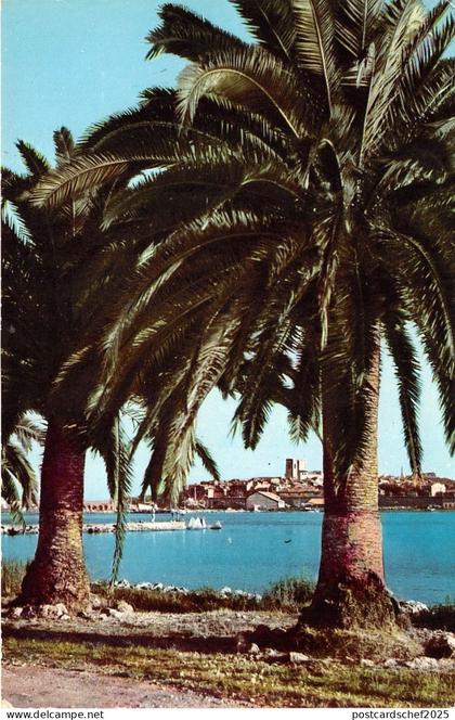 BR5409 ANtibes vue sur vieille ville   france