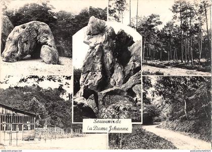 BT5116 Larchant la dame jehanne         France