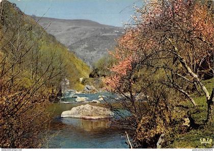 BT6252 Vallee de la Nive aux aldudes        France