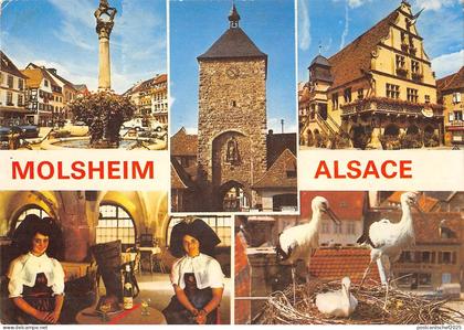 BT7678 Molsheim la fontaine metzig         France