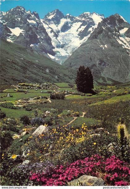 BT8194 Route de grenoble a Briancon le jardin alpin au col du lauta       France