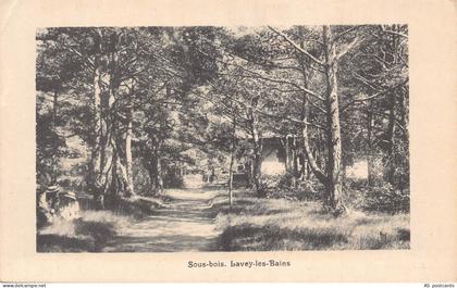 C302 France Sous bois Lavey les Bains vintage postcard