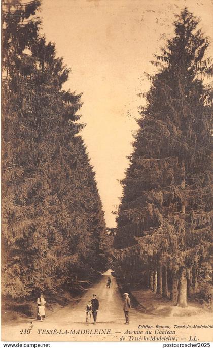 Lot348 tesse la madeleine avenue du chateau de tesse la madeleine france