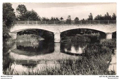 AUTP3-0209-45 - AMILLY - Le pont