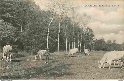 69 - Amplepuis - En Paturage à Berland - Animée - Vaches - CPA - Voir Scans Recto-Verso