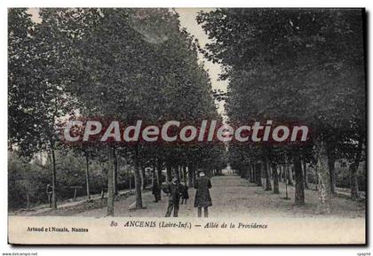 CPA Ancenis Allee De La Providence