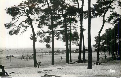 CPM Andernos les Bains La Plage du Betey