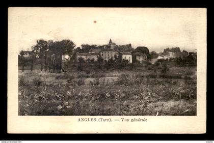 81 - ANGLES - VUE GENERALE