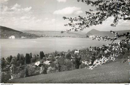 CPM Lac d'Annecy Veyrier Vue Generale