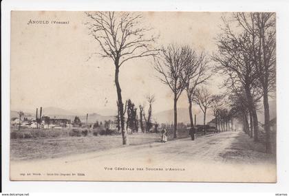CP 88 ANOULD Vue generale des Souches d'Anould