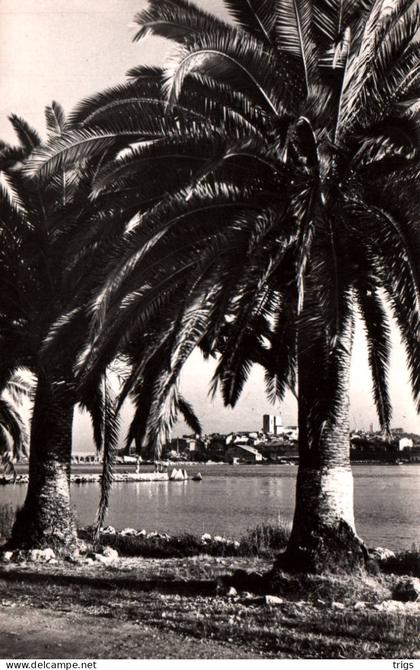Antibes - Vue sur la Vieille Ville