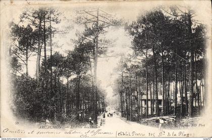 CPA Arcachon l'Allee