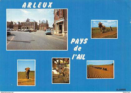59 ARLEUX LA MAIRIE