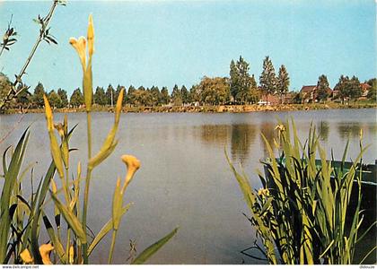 59 - Armentières - Les Etangs - CPM - Voir Scans Recto-Verso