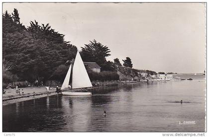 Arradon 56 - Plage Voilier - Cachet Arradon 1953