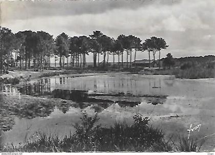 CPSM Etang d'Aureilhan