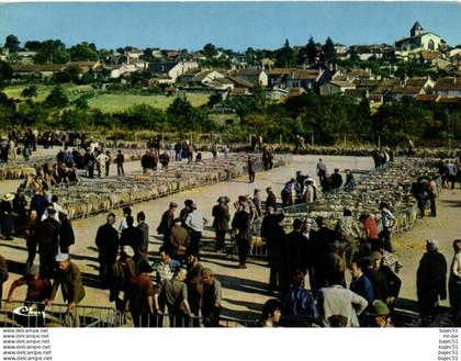 Availles limouzine - le champ de foire