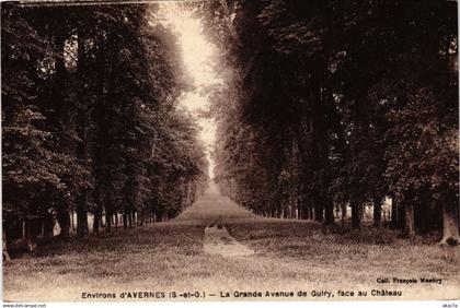 CPA Avernes La Grande Avenue de Guiry FRANCE (1309322)