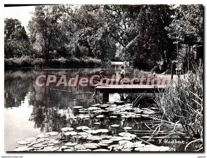 CPSM Au Long du Loing La Peche sur le Loing pres du pont de Bagneaux
