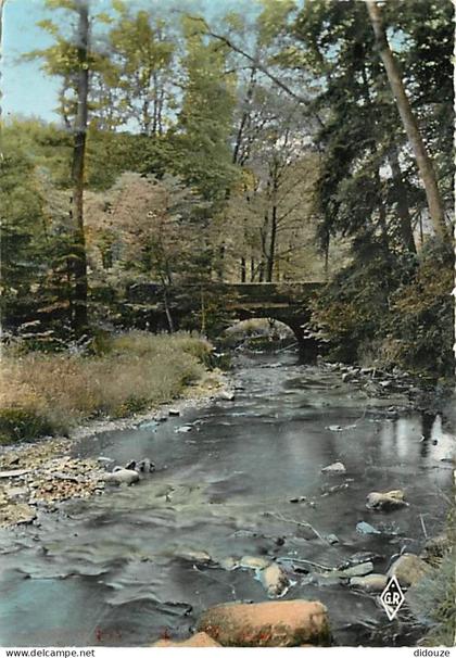 Carte Postale - 88 - Bains les Bains - Le Pont du Parapluie - Flamme Postale de Bains les Bains - CPM - Voir Scans Recto