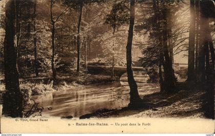 CPA Bains les Bains Un Pont dans la Foret