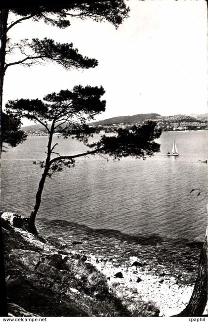 CPM Bandol Panorama