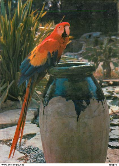 CPM Jardin Exotique Zoo Sanary Bandol Ara Macao (Bresil)