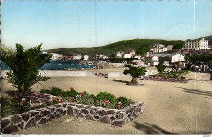 Banyuls sur Mer CPA La plage
