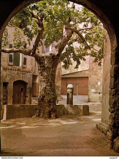 CPSM Barjols Fontaine De La Cour Et Vieille Porte
