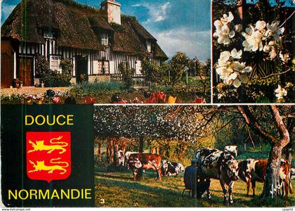 CPM La douce Normandie Vaches