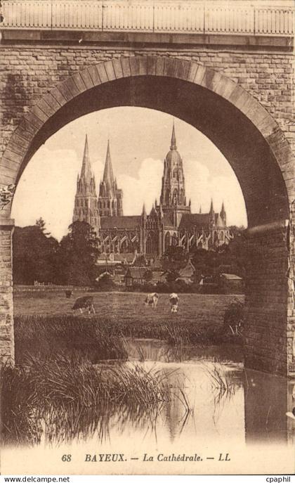 CPA Bayeux La Cathedrale Vaches