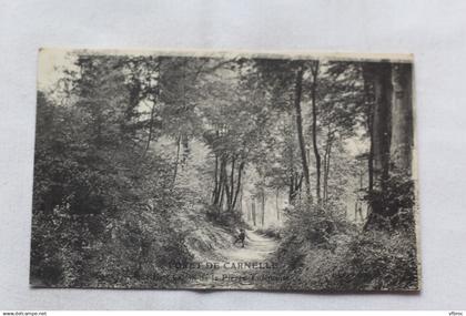 forêt de Carnelle, le chemin de la pierre turquoise, Beaumont sur Oise, Val d'Oise 95