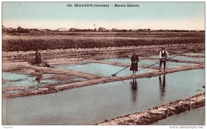 Beauvoir sur Mer : marais salants