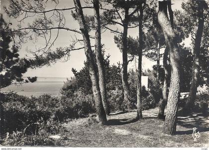 CPSM Beg-Meil Dans les Pins près de Ker-Mil