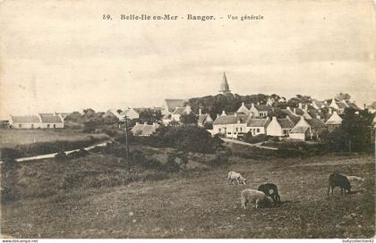 CPA Belle-Ile-en-Mer  56/16