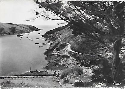 CPSM Belle-Ile-en-Mer  Port Goulphar