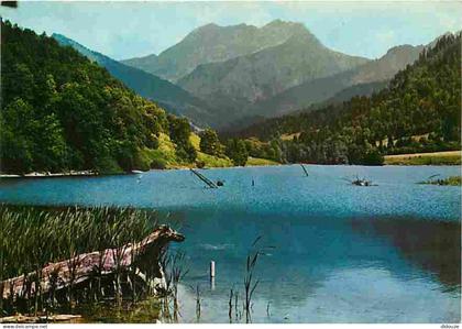 Carte Postale - 74 - Bellevaux - Le Lac - Le Roc d'Enfer - CPM - Voir Scans Recto-Verso - Poscard - Carta Postal -  Post