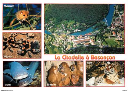 CPM Besancon Doubs La Citadelle a Besancon