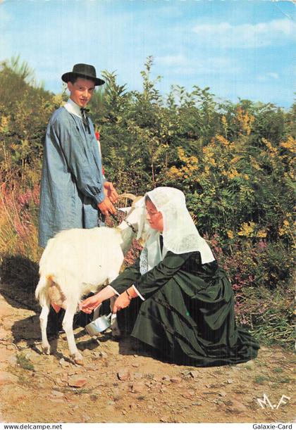 87 BESSINES SUR GARTEMPE LIMOUSIN