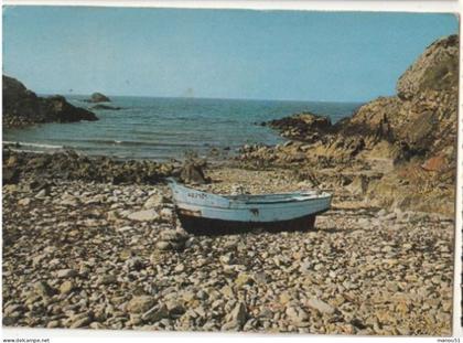 BEUZEC CAP SIZUN - CPSM : Pors Lanvers