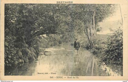 CPA Binic Bord de l'le